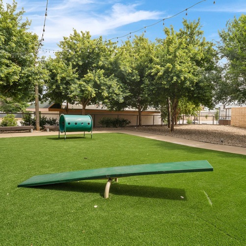 dog park
