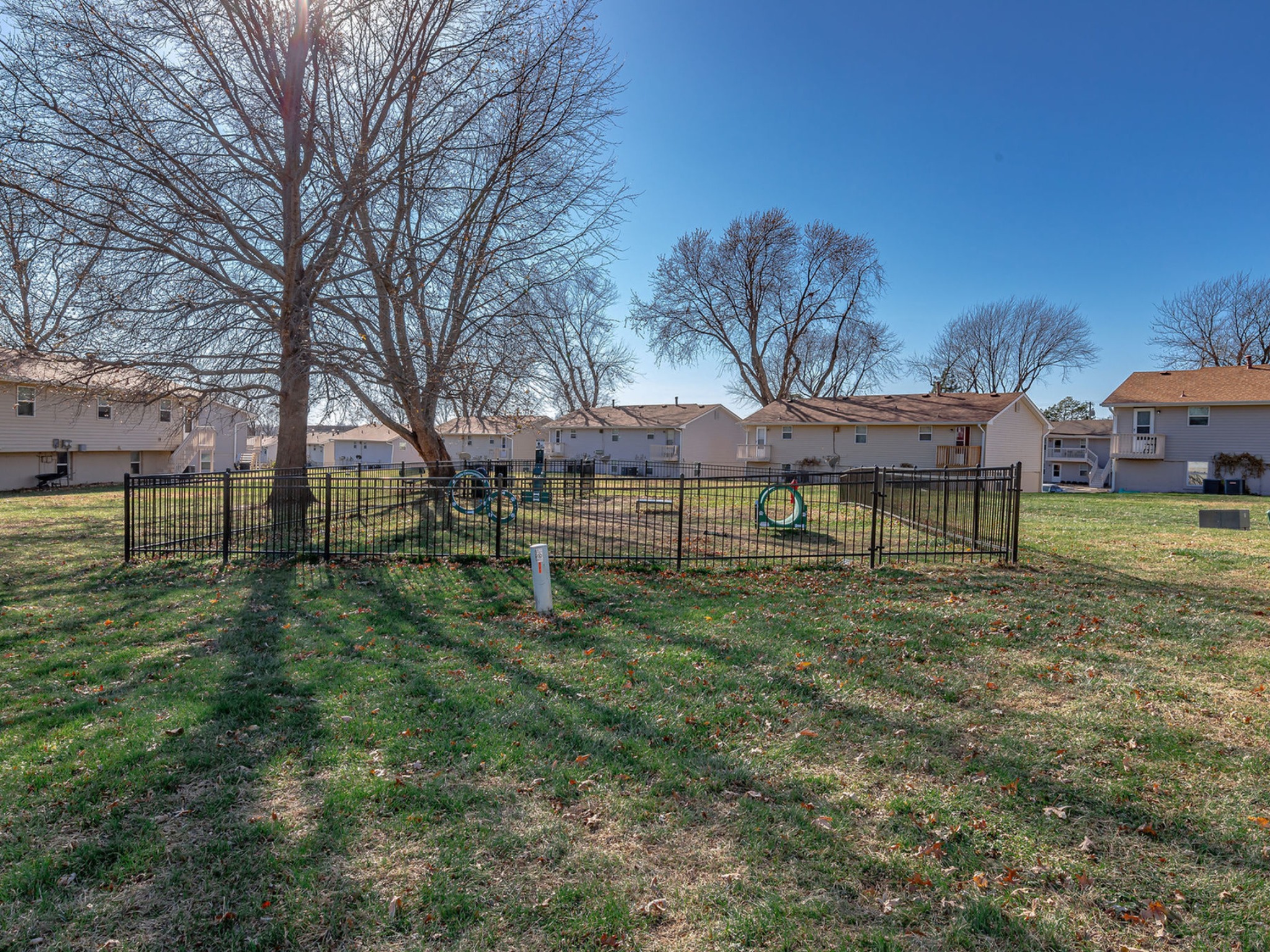 Dog Park