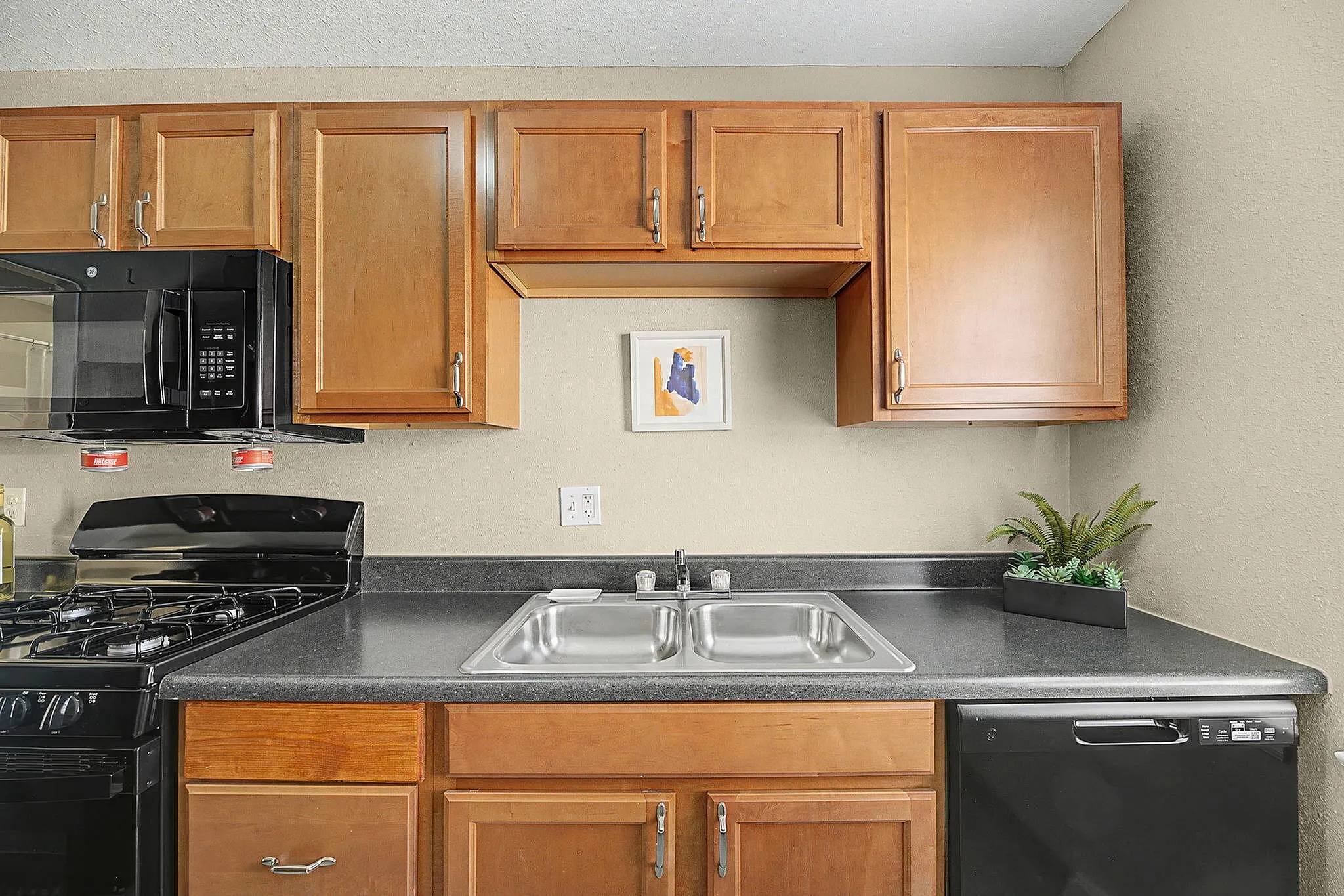 Modern kitchen with sleek black appliances, elegant wooden cabinets, dual sinks, and a touch of greenery for style.