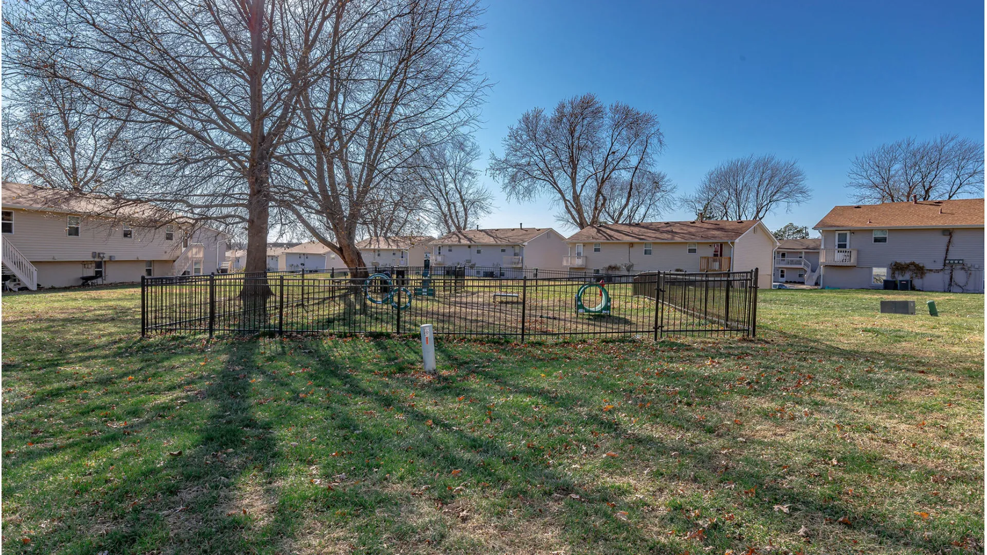 dog park