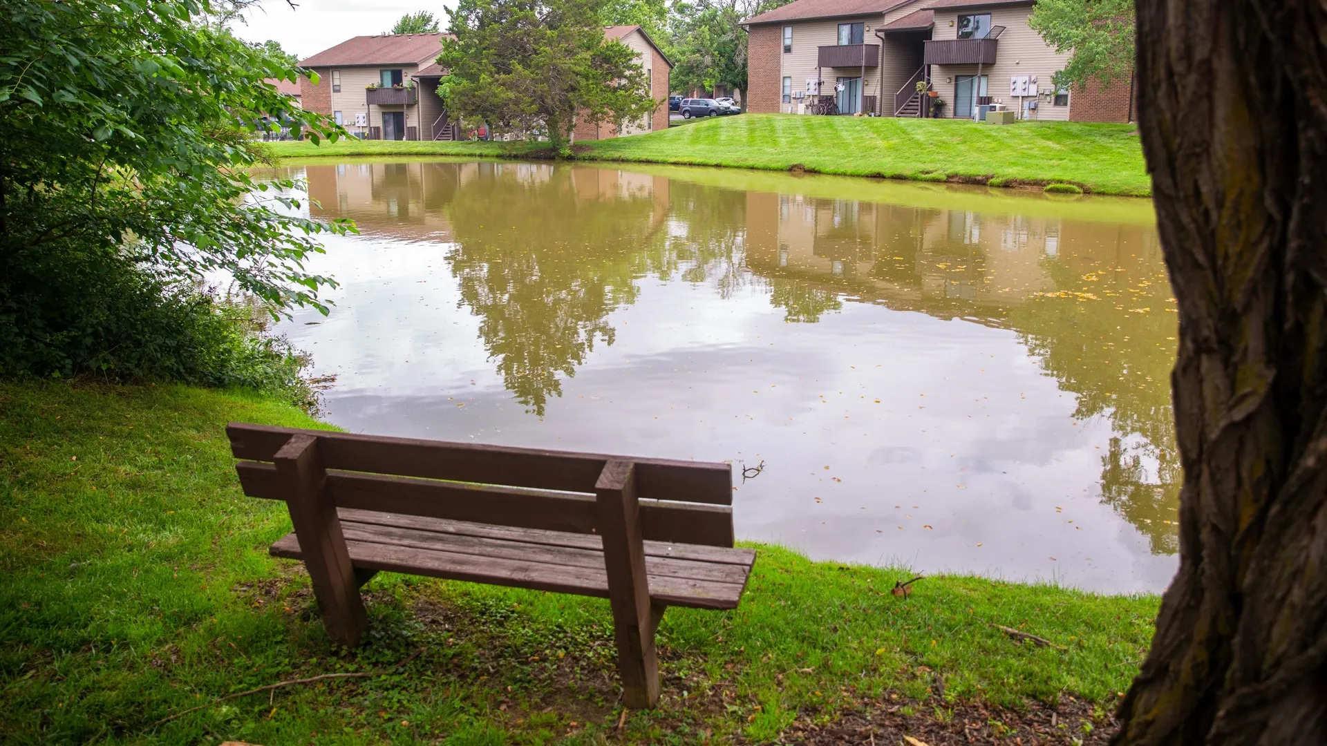 Woodlake Apartments In Columbia, MO