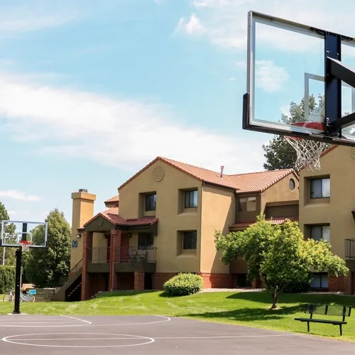 Basketball court