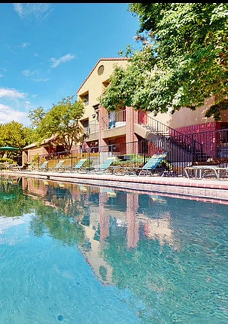 Tree Pool