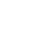 Logo White