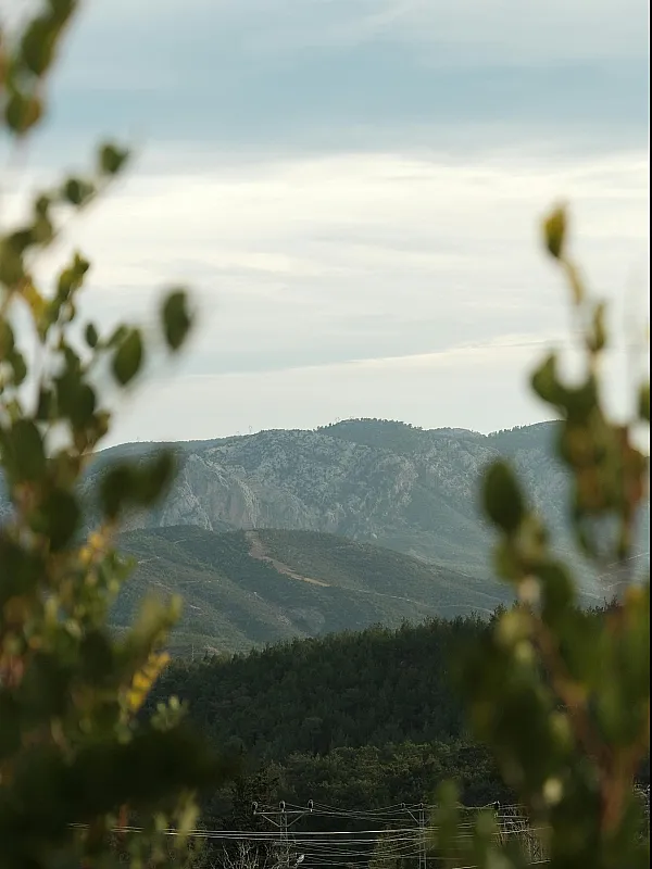 Breathtaking mountain view framed by lush greenery, offering a serene and picturesque backdrop.