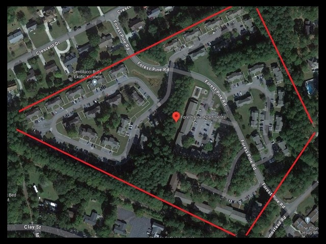 Google Map View