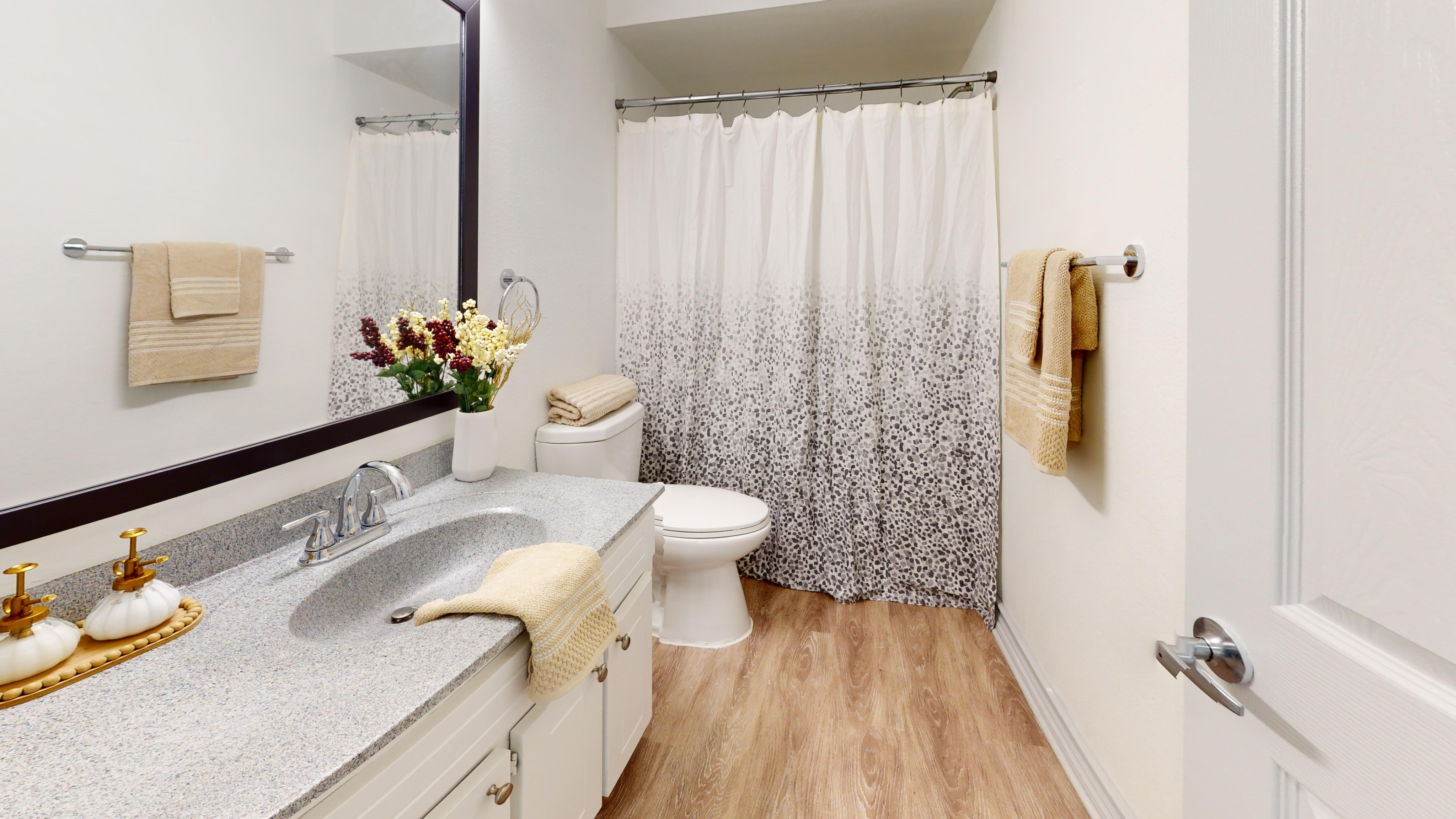 Chic bathroom with modern fixtures, granite countertop, and decorative shower curtain.