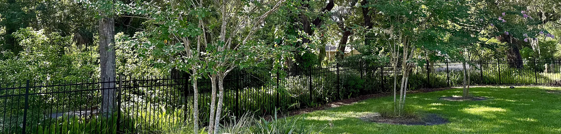 Serene garden view with lush green grass, tall trees, and a charming black iron fence.