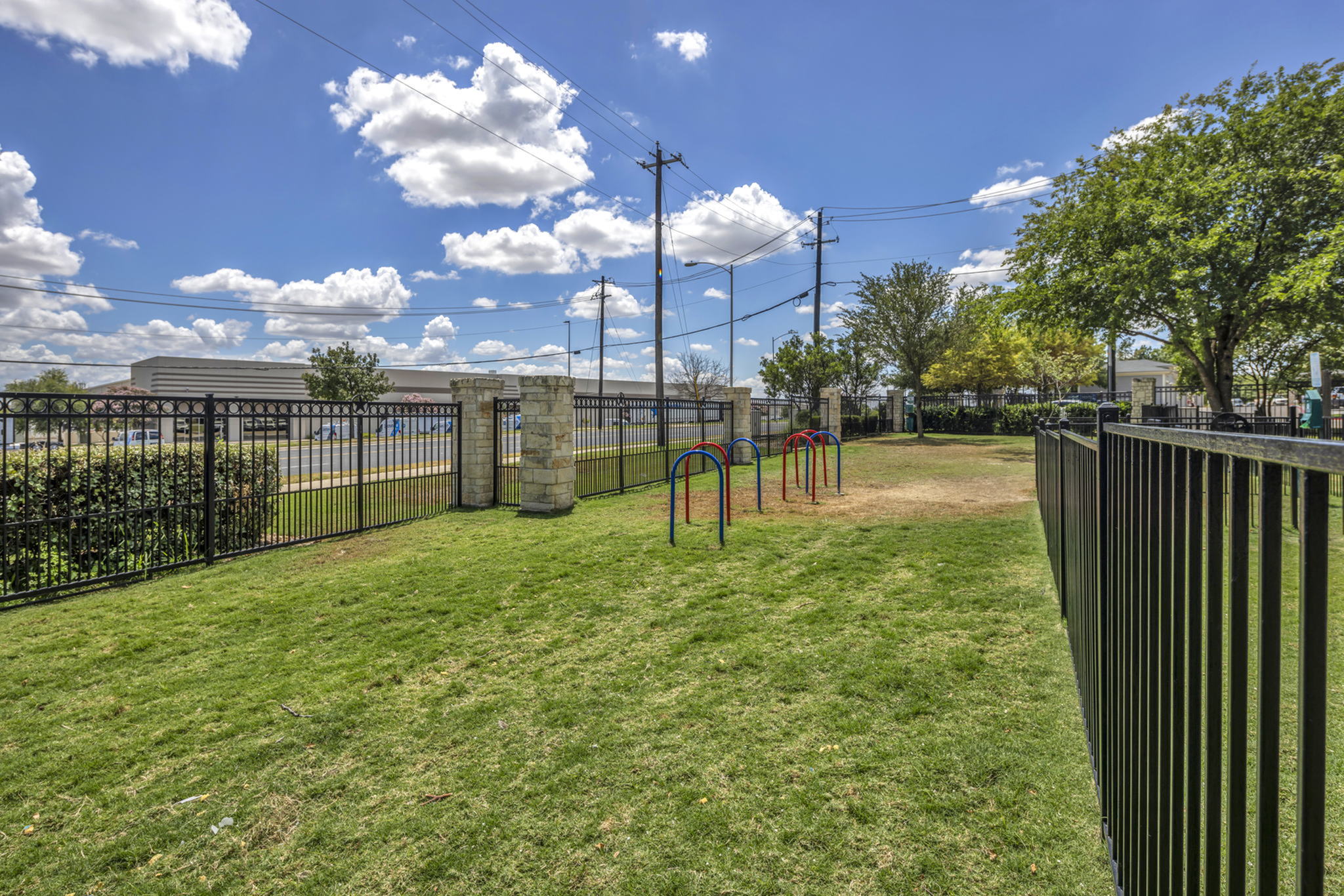 Dog Park-image
