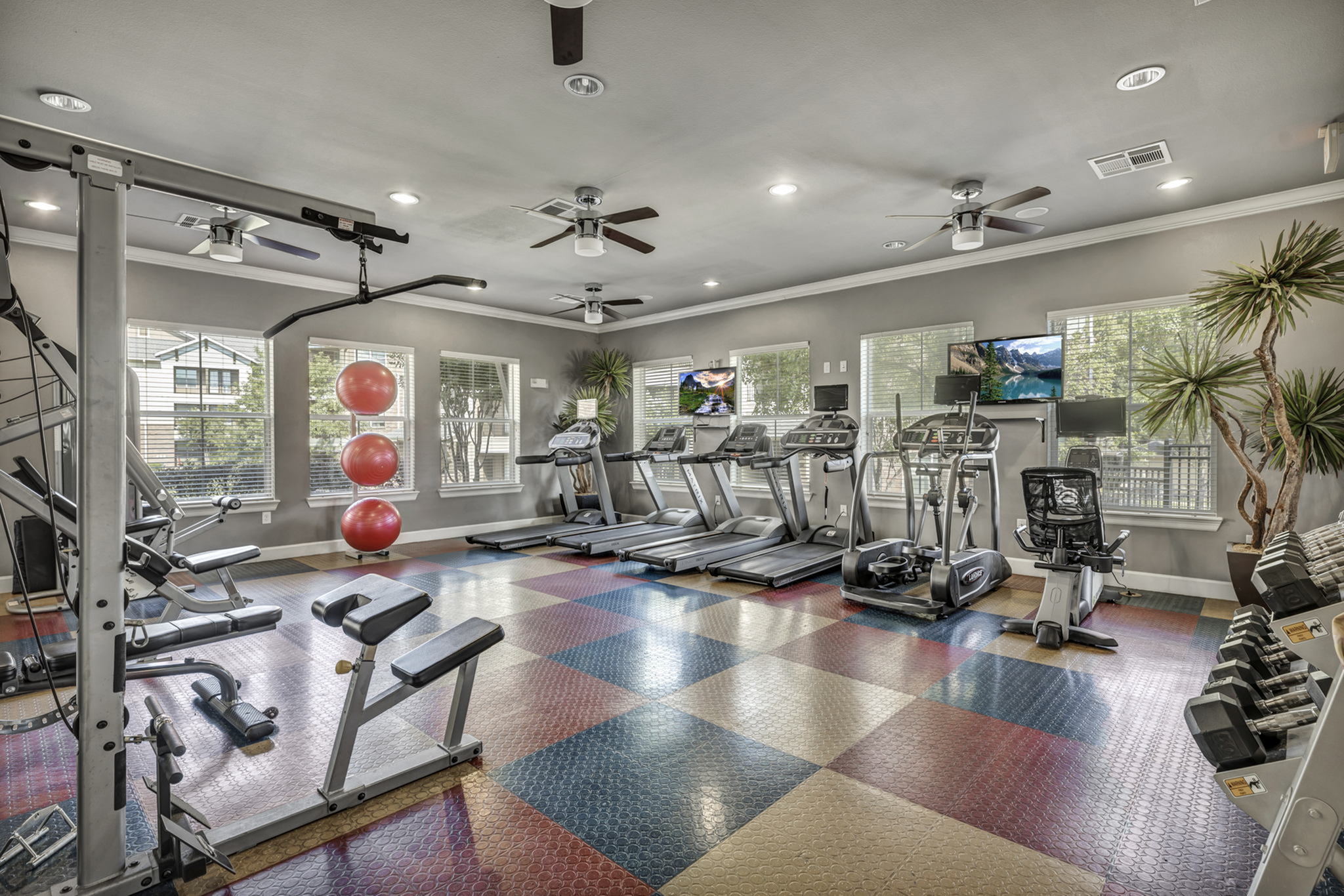 Let's Exercise!-image