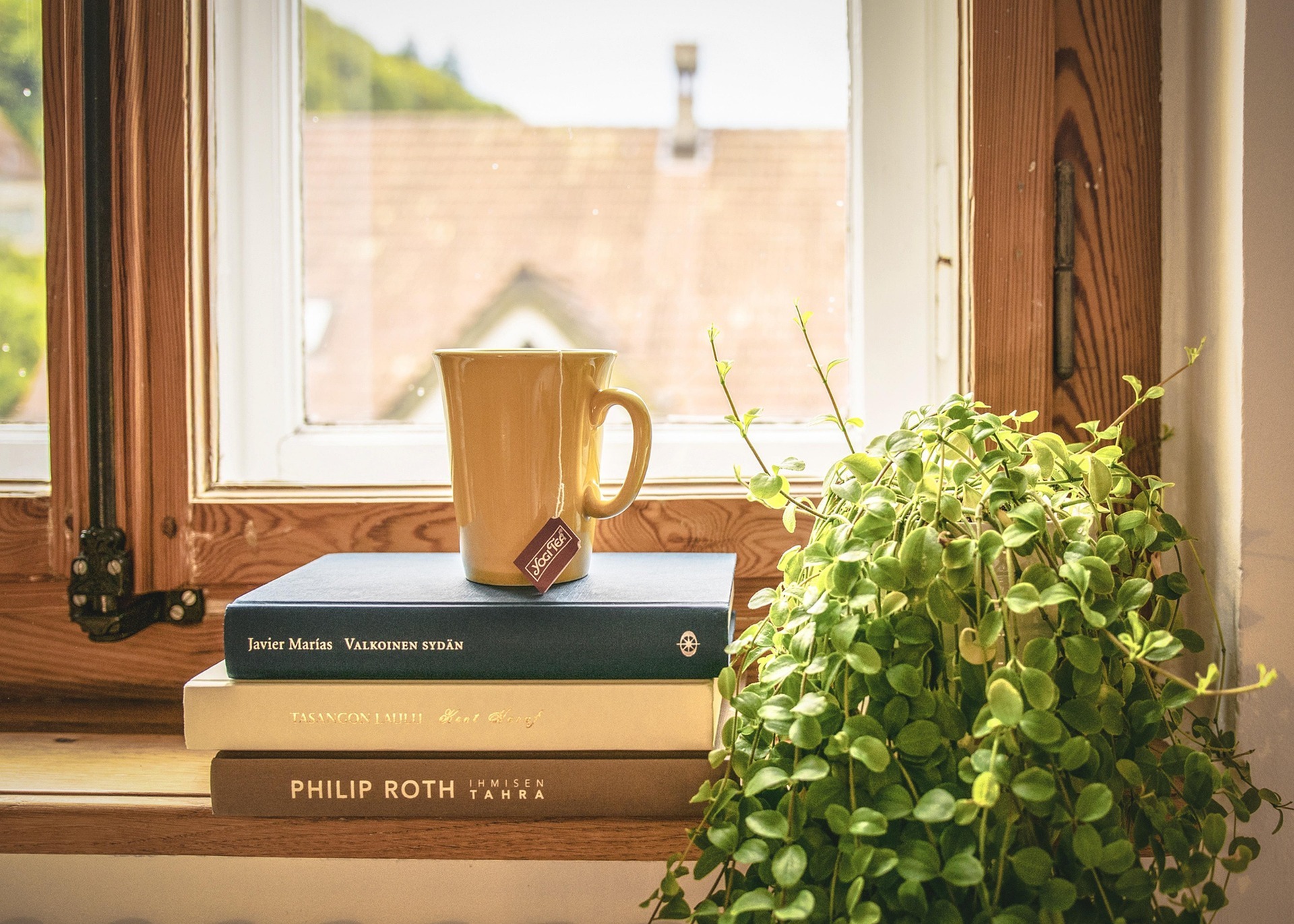 Your Personal Oasis-image