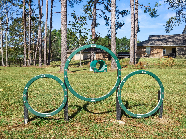 Dog Park