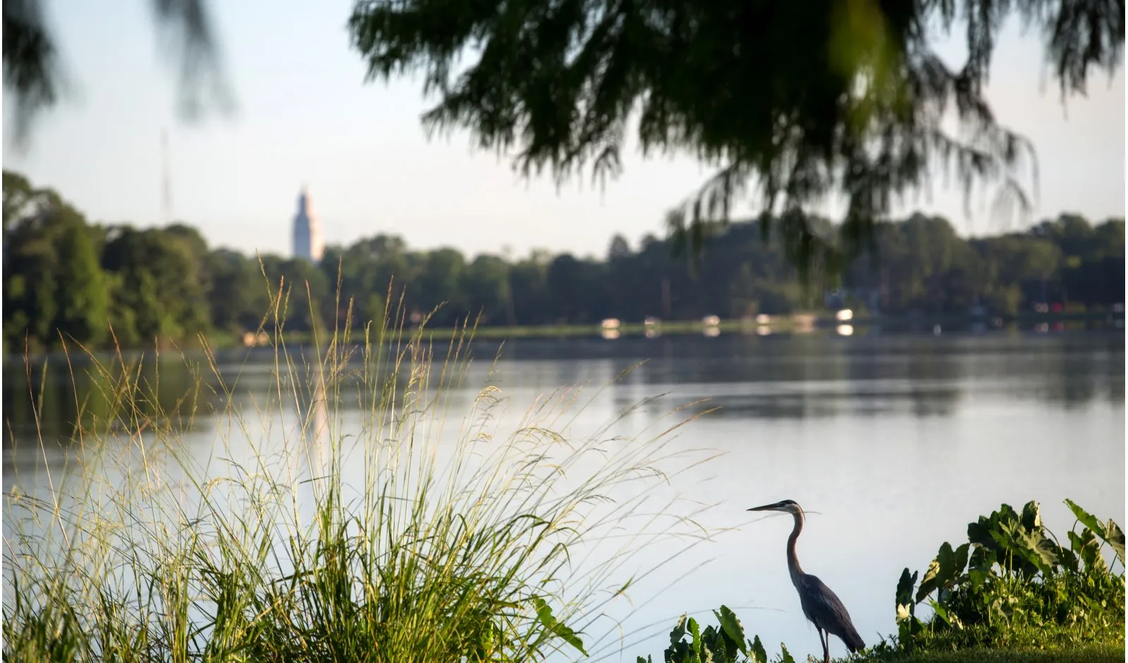 1 Bedroom Apartments For Rent In Baton Rouge | Bayonne at Southshore