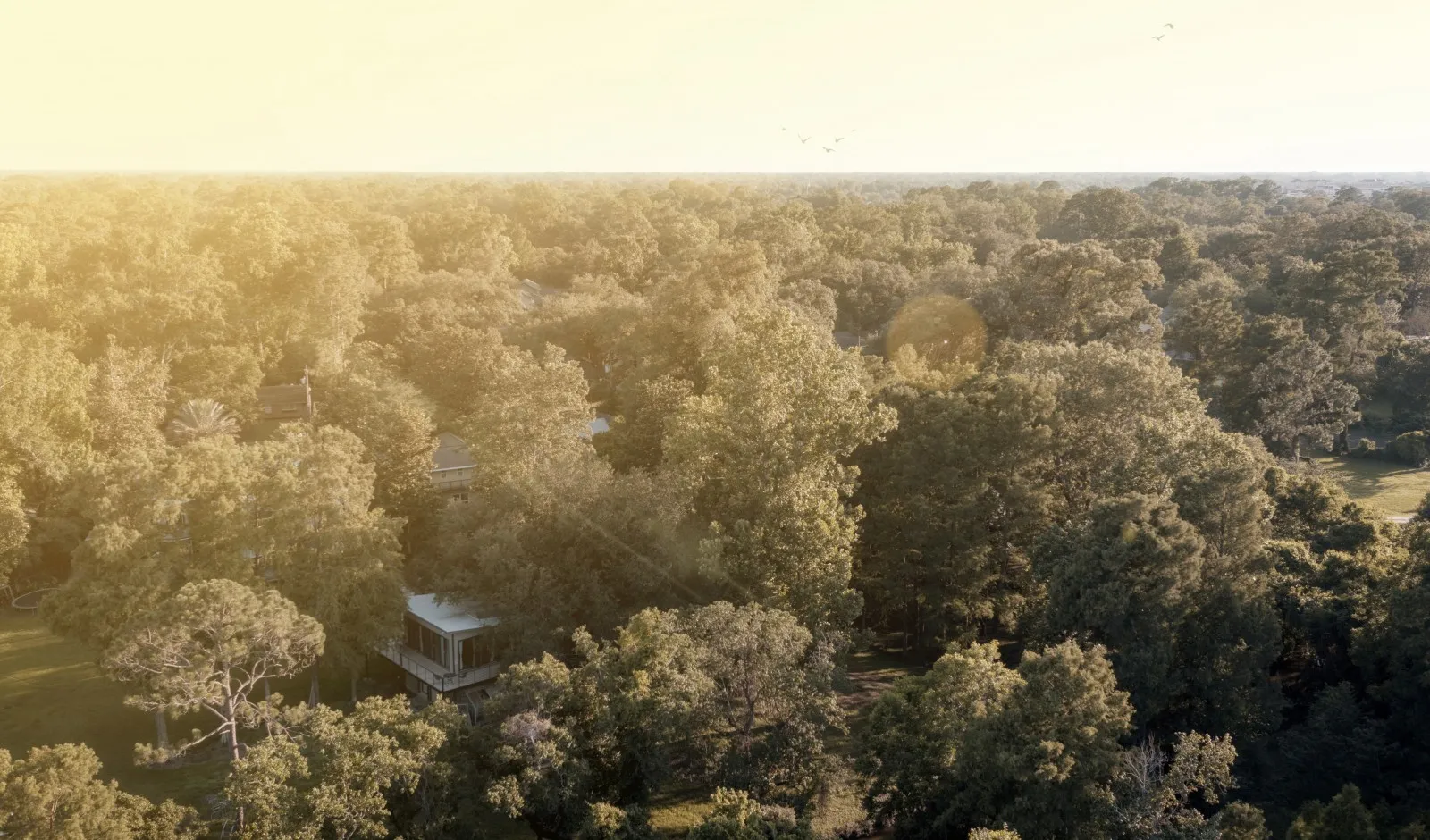 Conveniently Located | Apartments Baton Rouge