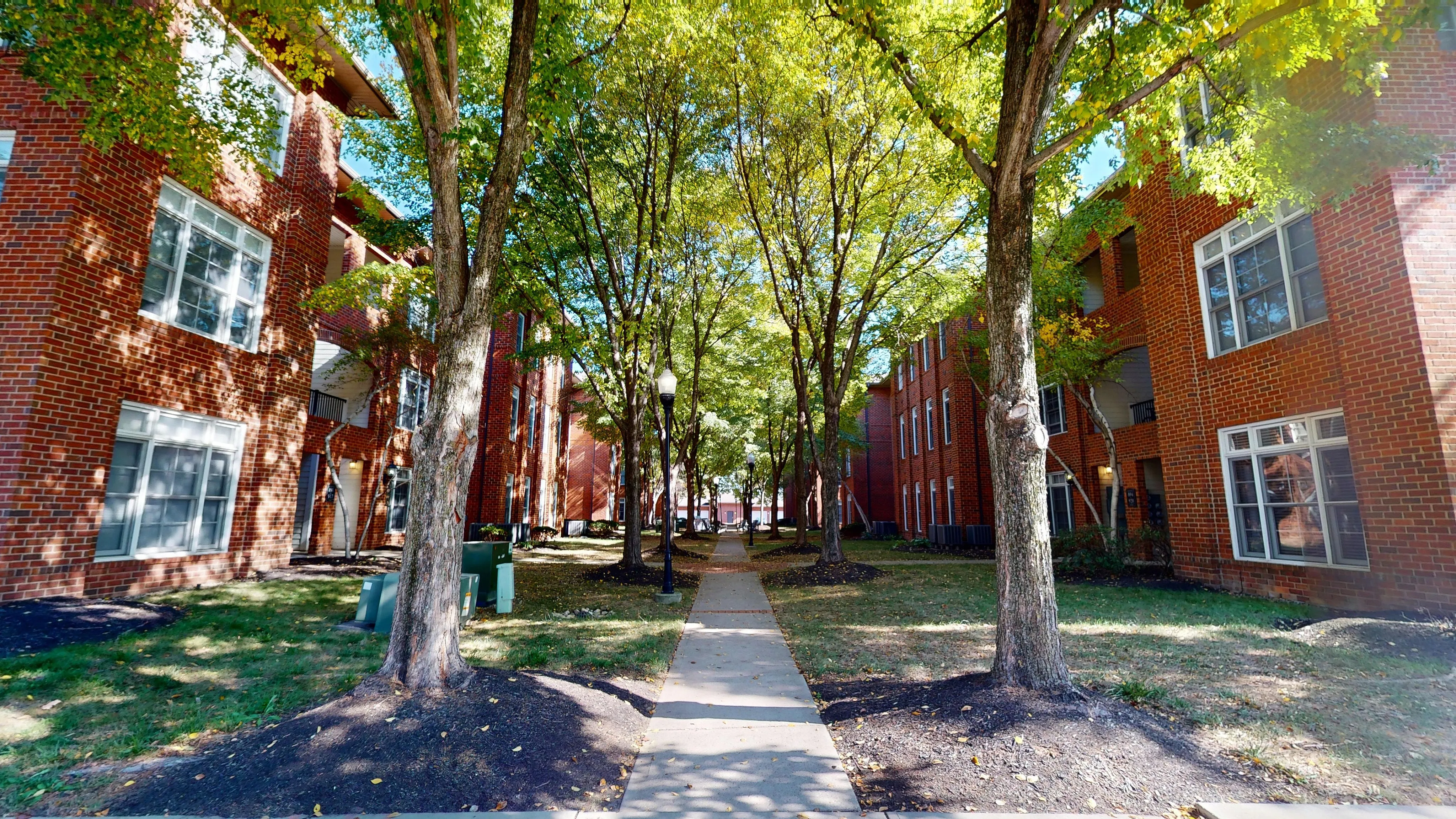 Take a leisurely stroll through our serene courtyard—your perfect escape to unwind and recharge.