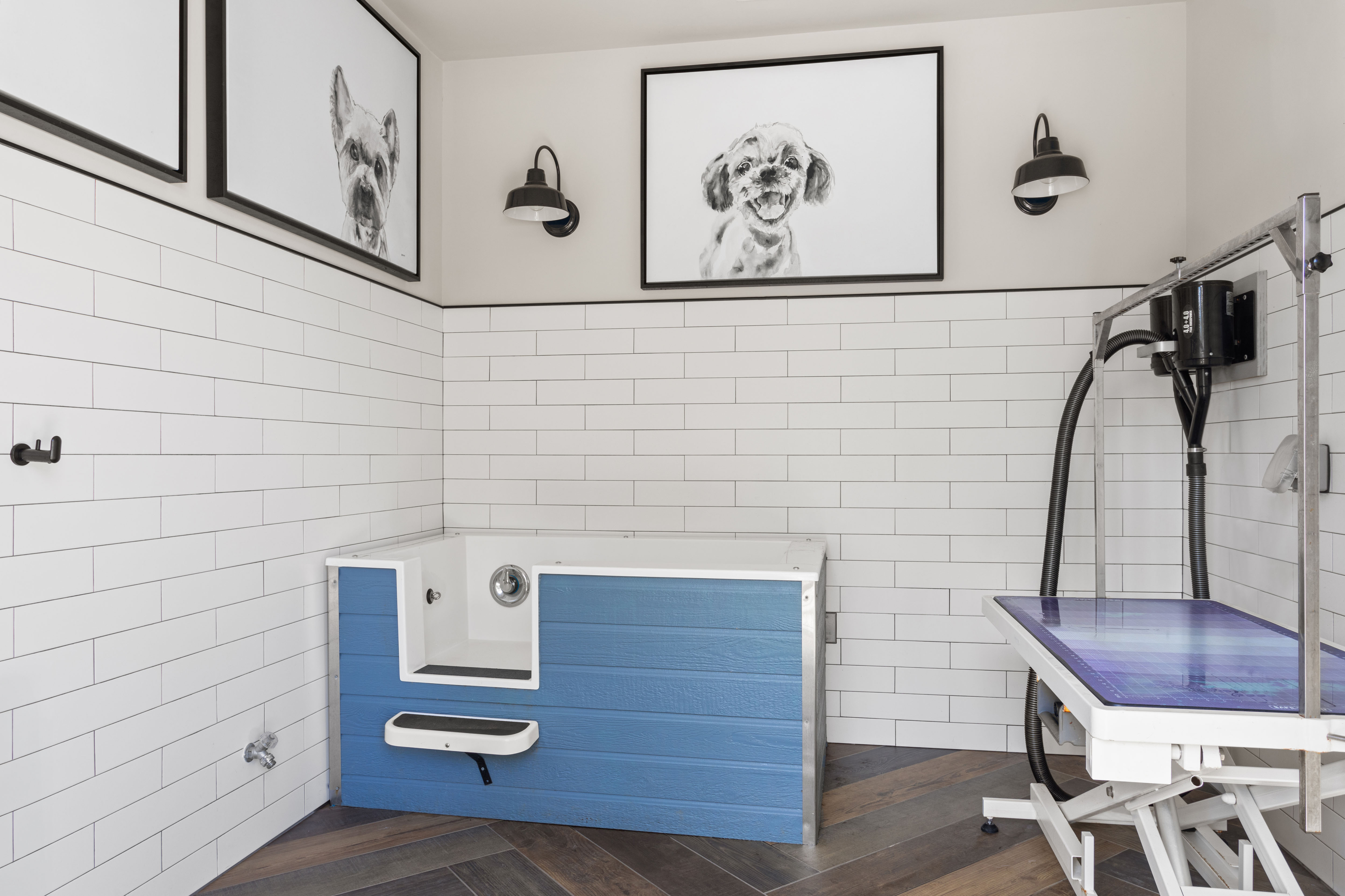 indoor pet spa with grooming station at Chestnut Farm Apartments in Matthews NC