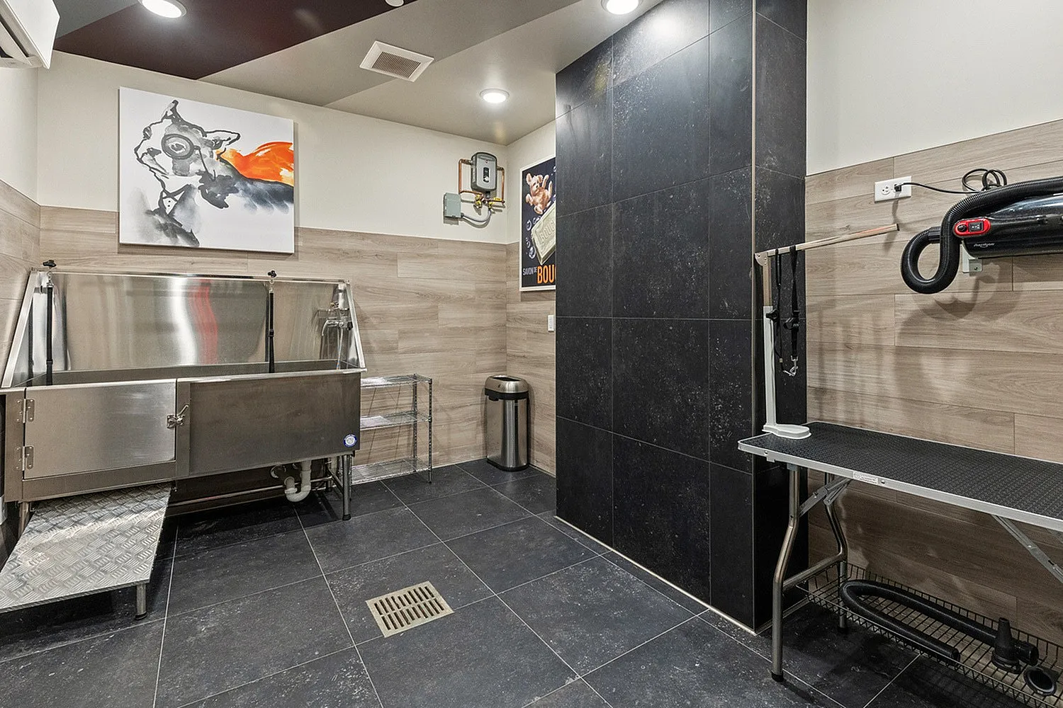 Modern pet wash station with stainless steel sink, drying area, and stylish decor.