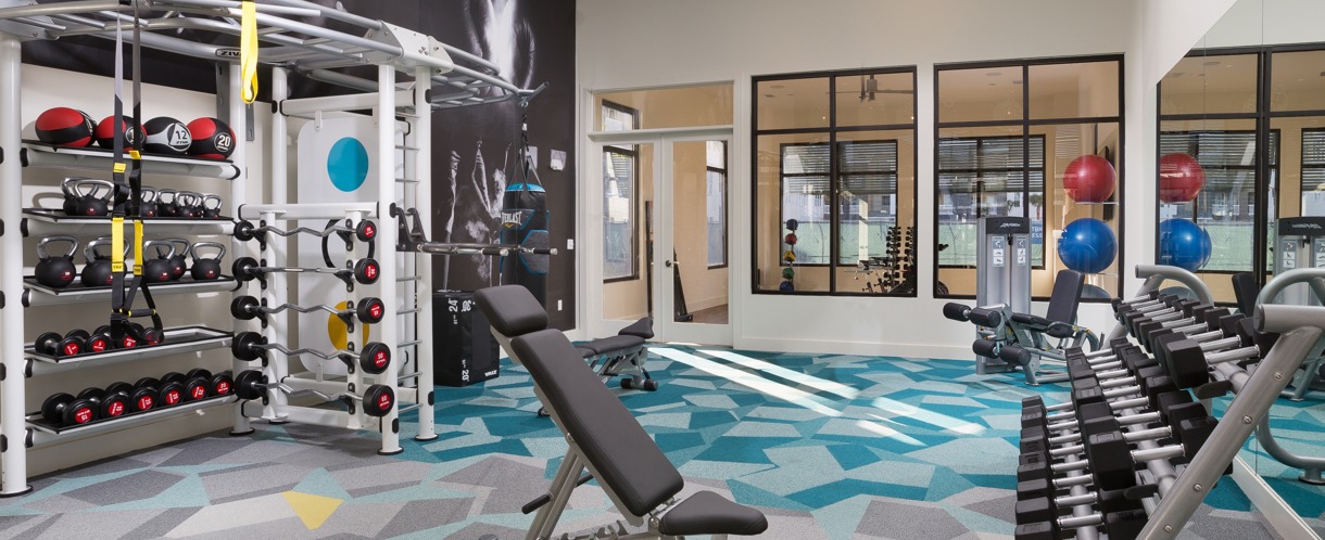 Weights and Exercise Ball in Fitness Center