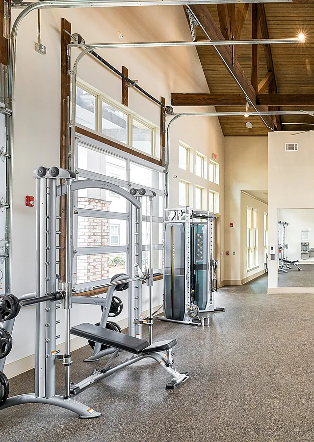 Bright, modern gym with several treadmills, exercise machines, and large windows.