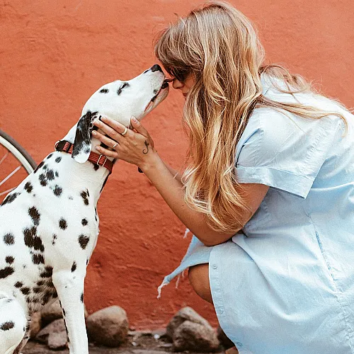 Woman in a blue dress lovingly interacting with a Dalmatian against a terracotta wall.
