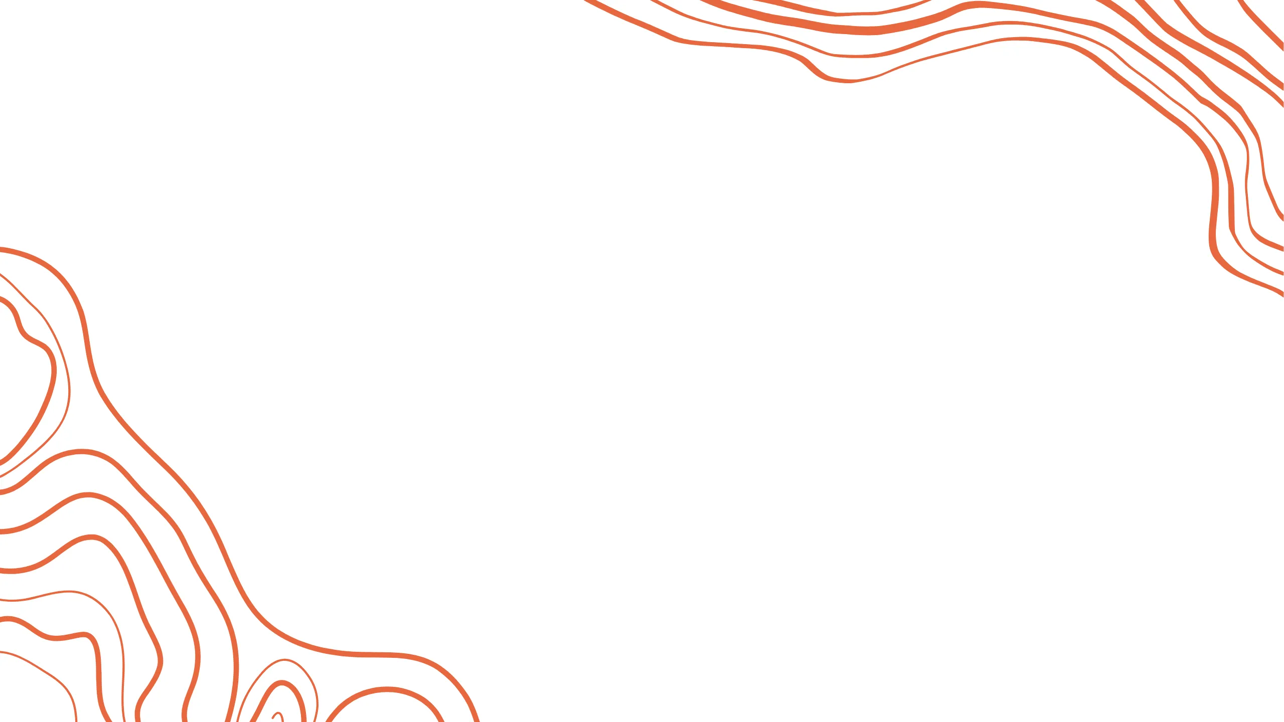 Elegant abstract design with flowing orange contour lines on a white background.