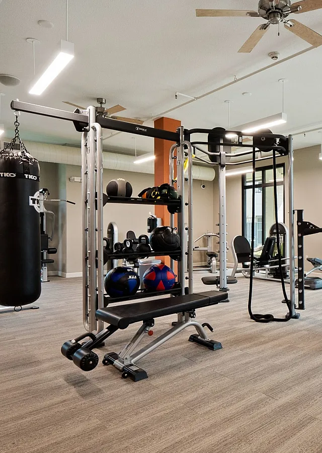 Modern fitness center featuring treadmills, boxing bags, weight machines, and exercise balls in a bright, open space.