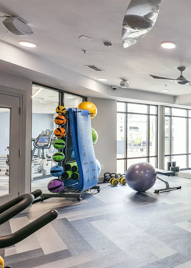 Modern gym space with exercise equipment, mirrored walls, and natural lighting.