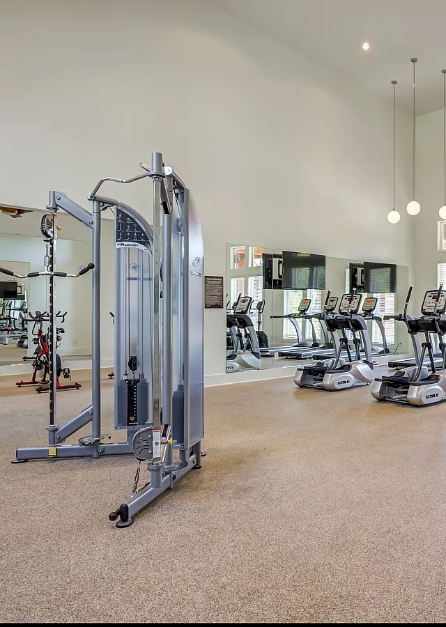 Spacious and modern gym with state-of-the-art equipment, large mirrors, and abundant natural light.