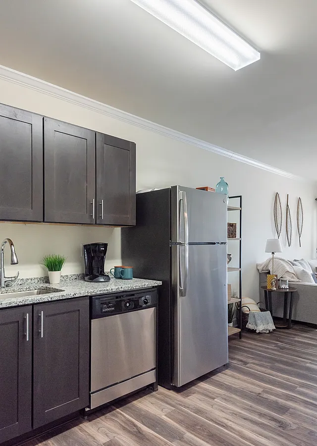 Modern open-concept living area with sleek kitchen, stainless steel appliances, and cozy seating, illuminated by bright natural light.