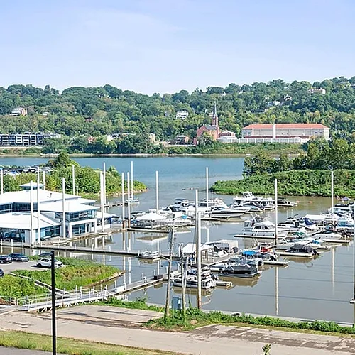 Scenic view of a vibrant marina with numerous boats docked, surrounded by lush greenery and a tranquil river under a clear blue sky.