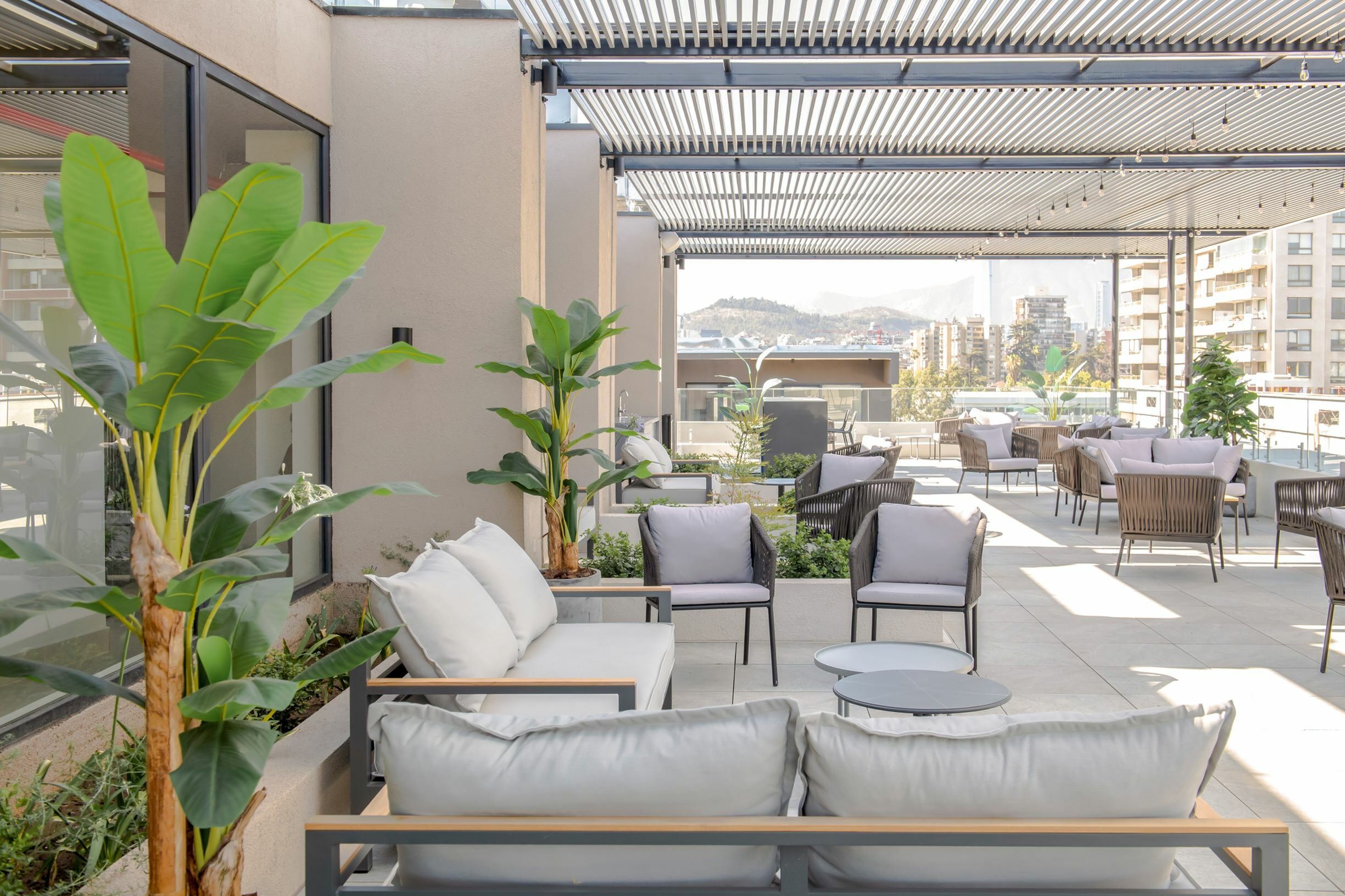 Terraza mirador