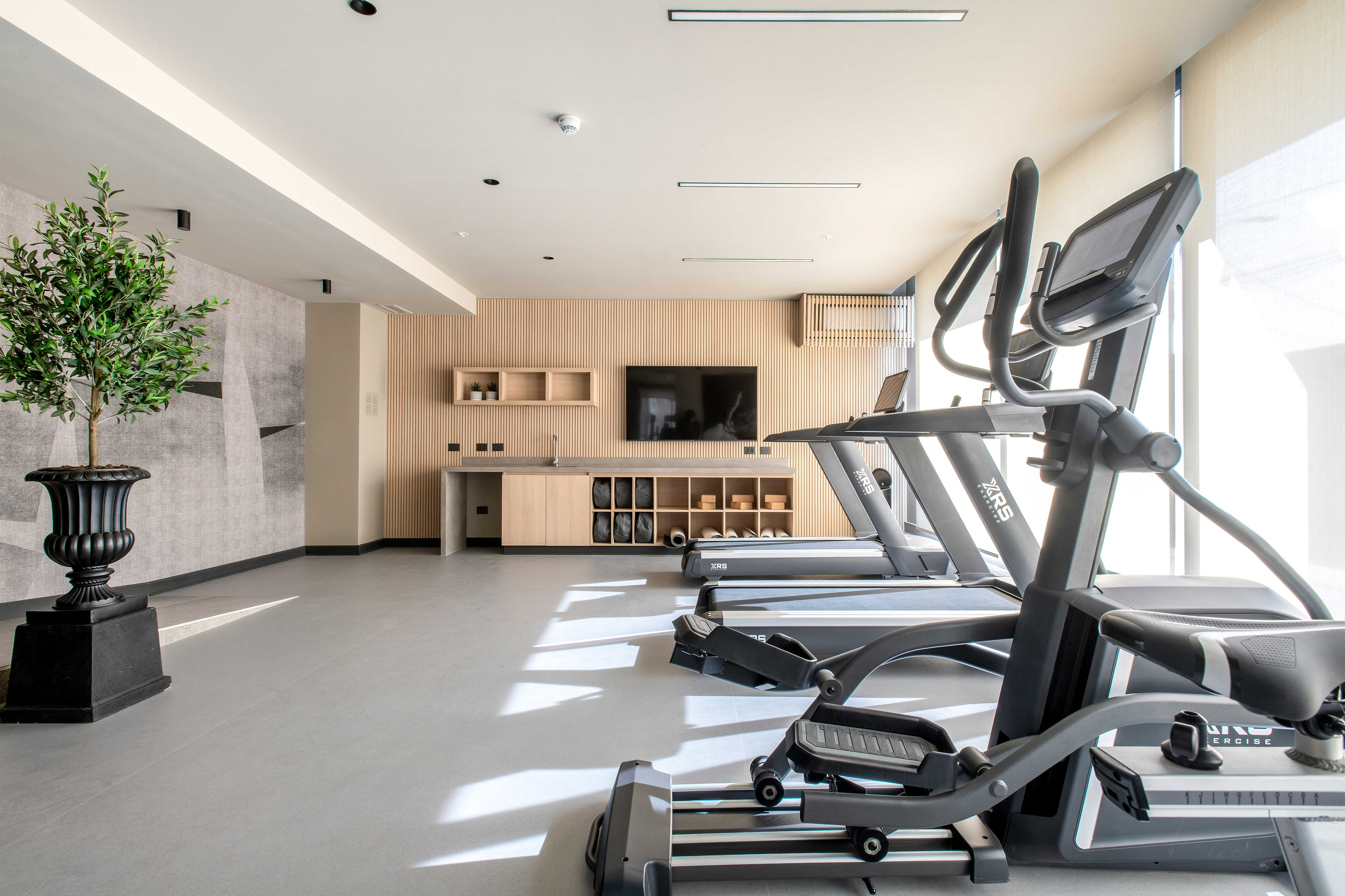 Gimnasio