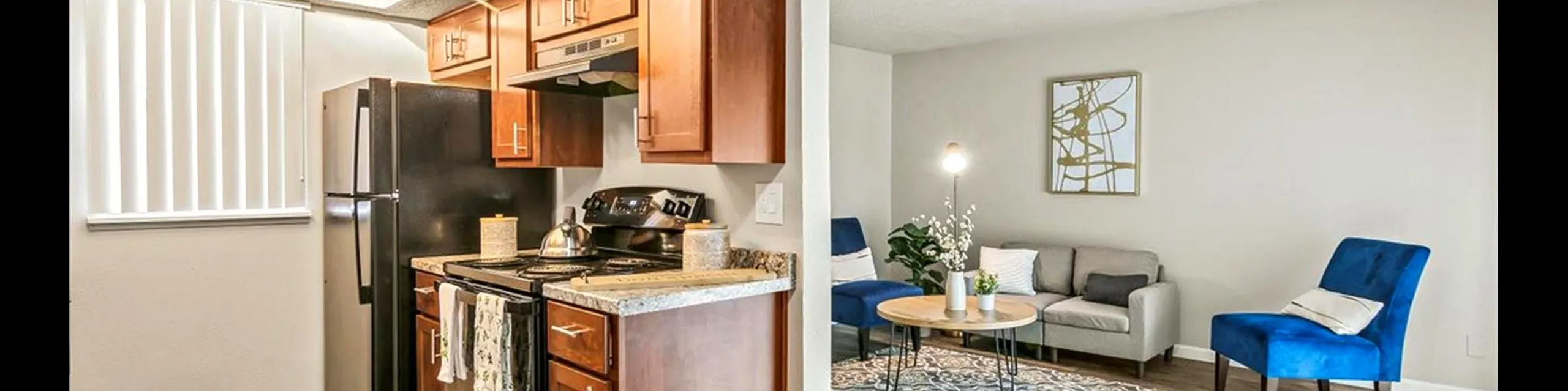 Kitchen and Living Room