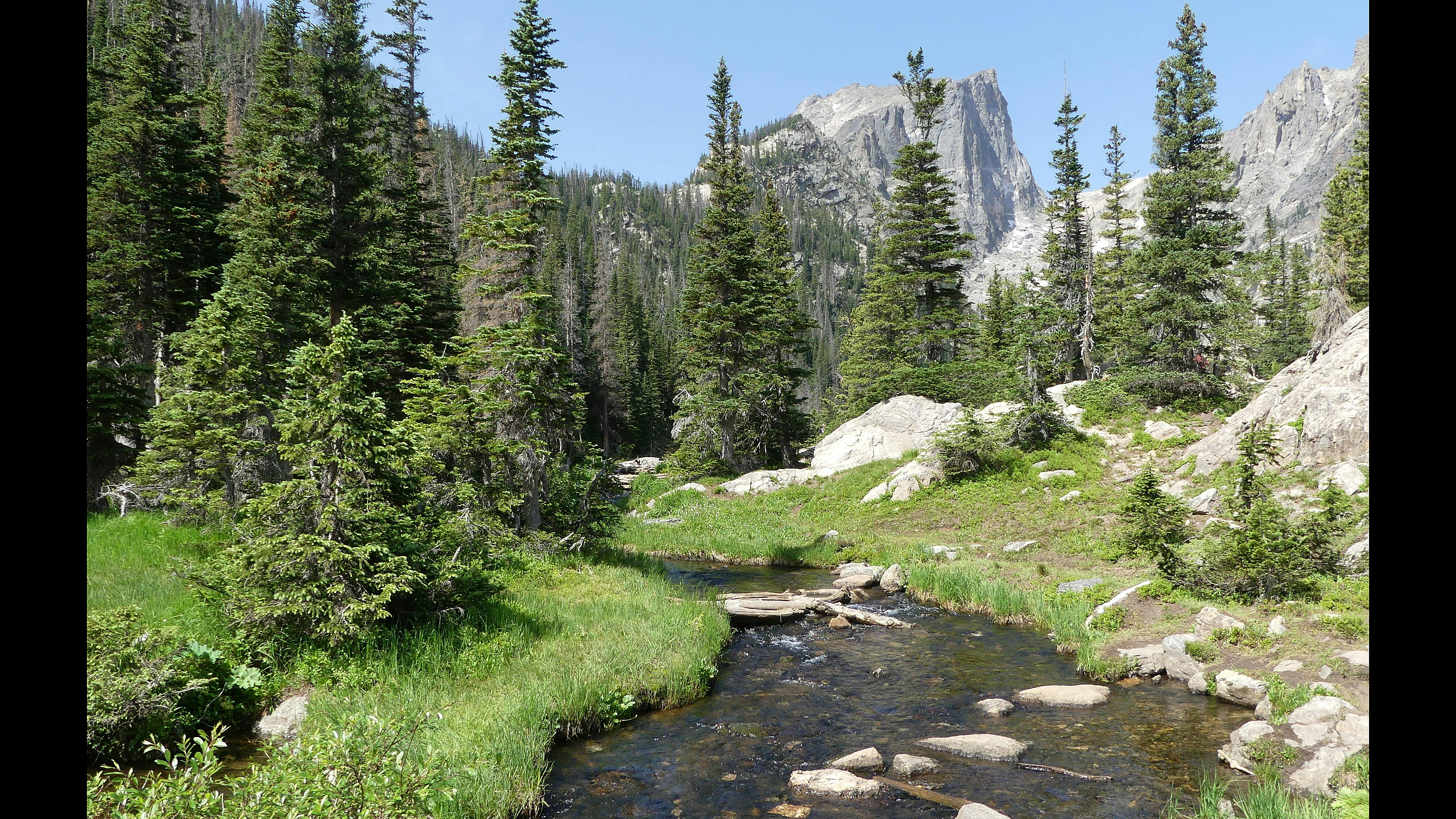 Breathtaking mountain landscape with lush green pine trees and a serene, flowing stream under a clear blue sky.