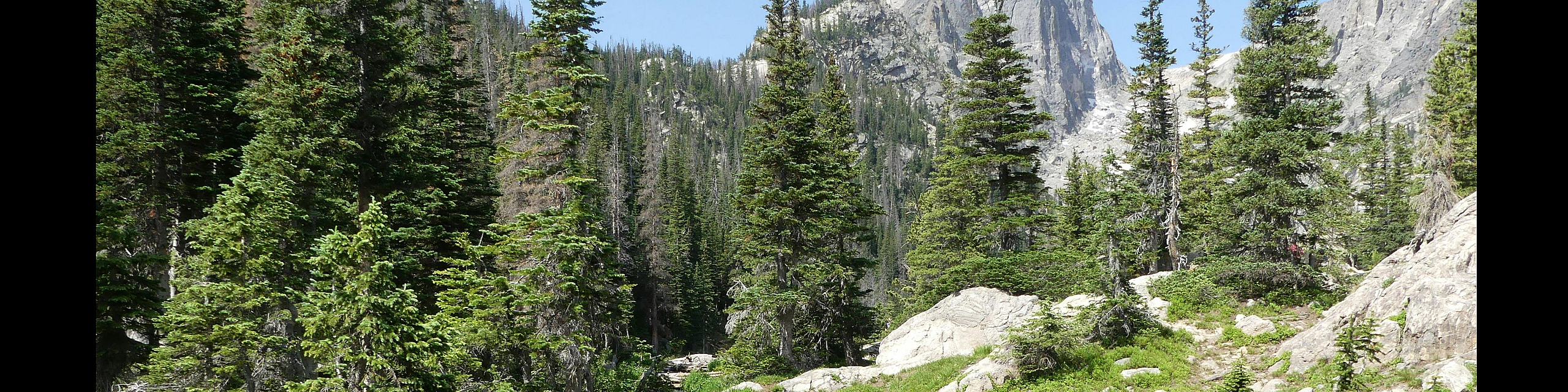 Breathtaking mountain landscape with lush pine trees and a serene creek flowing through a picturesque valley.