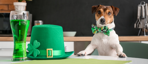 Your Guide to Celebrating St. Patrick's Day in Pensacola-image