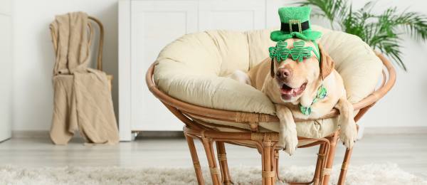 Your Guide to Celebrating St. Patrick's Day in New Orleans-image