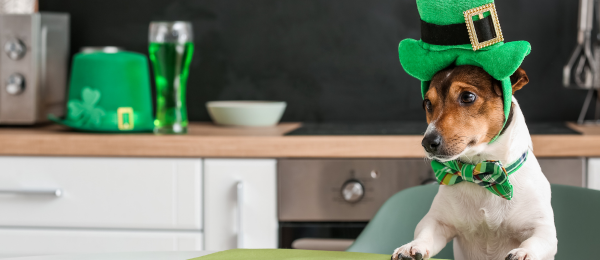 Your Guide to Celebrating St. Patrick's Day in Bradenton-image