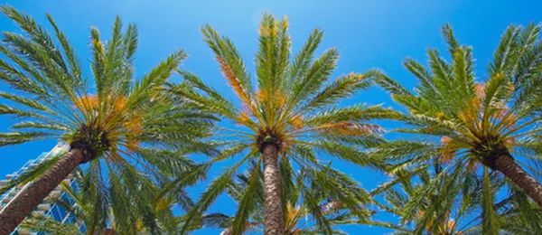 2940 Solano's Guide to Exploring Cooper City Florida this Summer-image