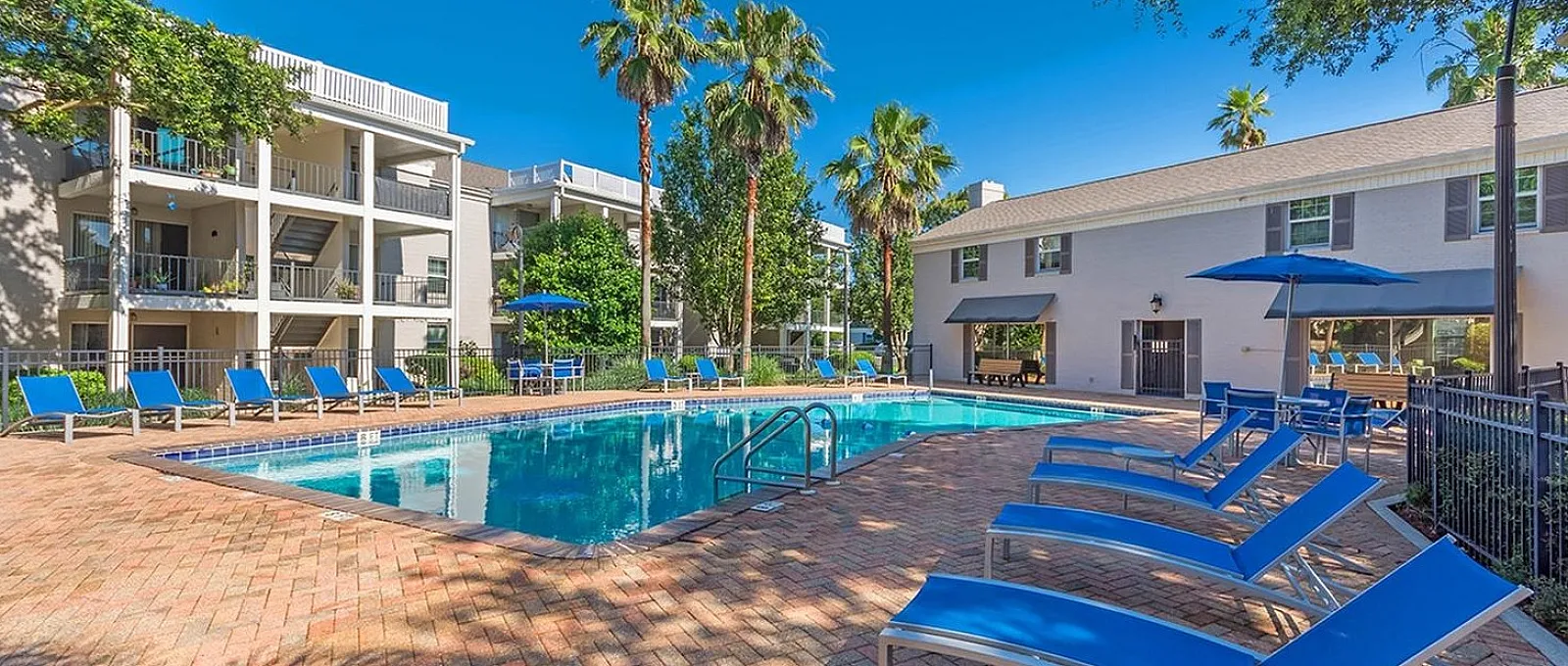Vibrant outdoor pool area surrounded by lush palm trees and chic sun loungers, ideal for relaxation and leisure under a clear blue sky.