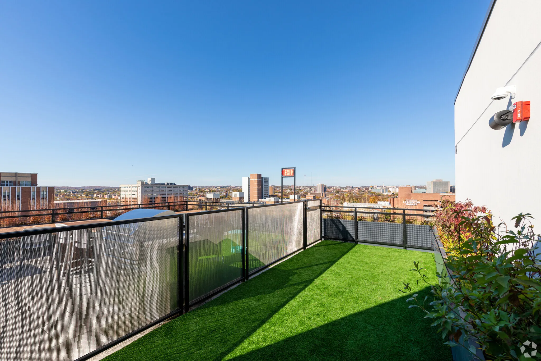 Vibrant rooftop patio with lush artificial grass and panoramic city views under a clear blue sky.