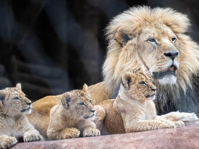 Oklahoma City Zoo
