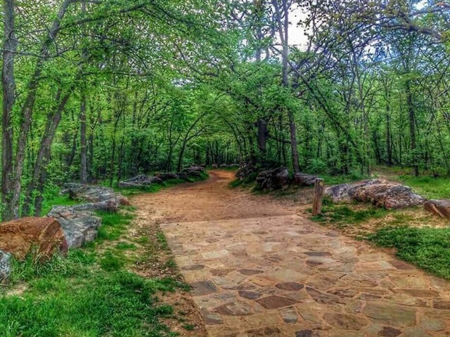 Turkey Mountain Urban Wilderness
