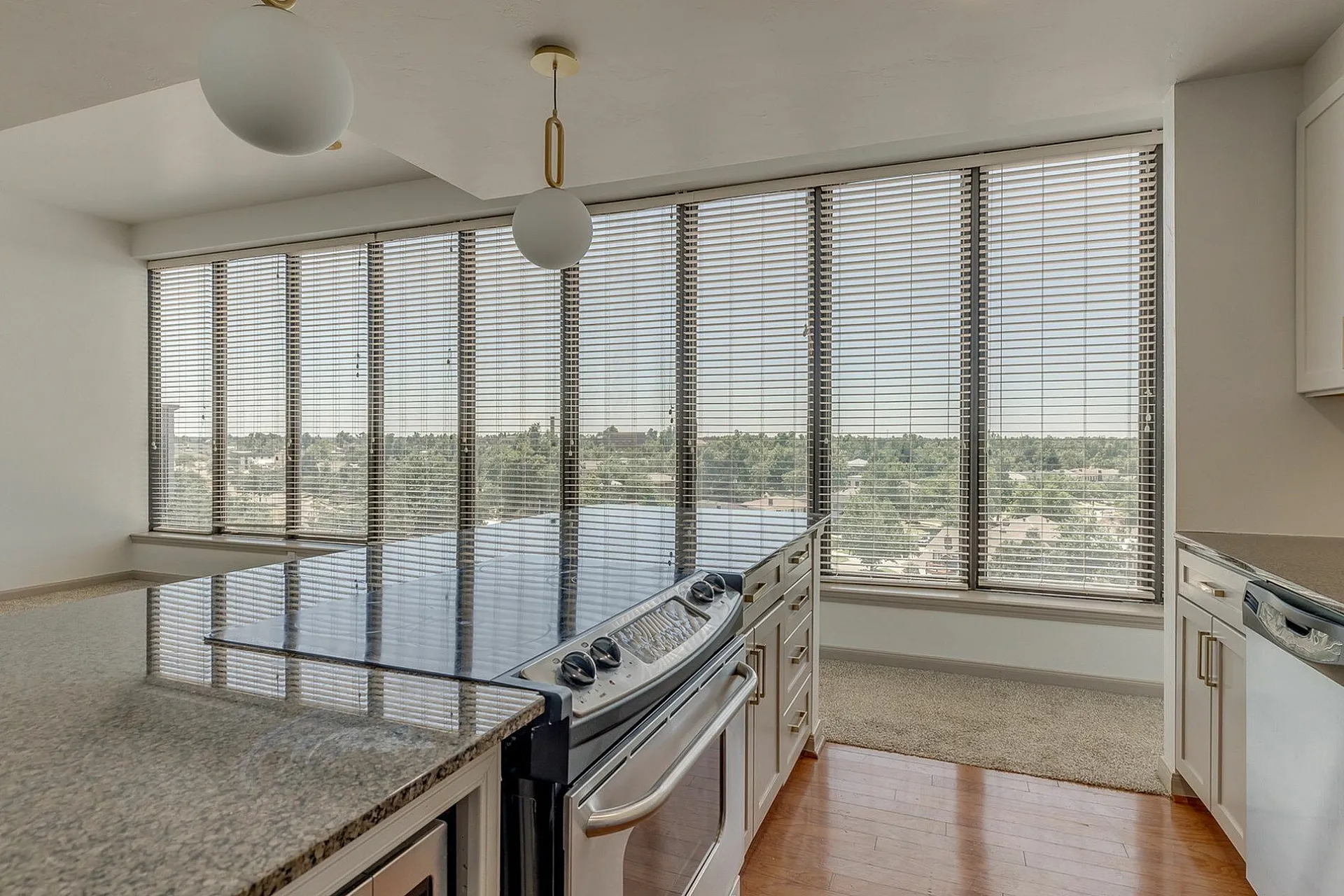 Modern kitchen with sleek granite countertops, stainless steel appliances, and panoramic city views through expansive windows.