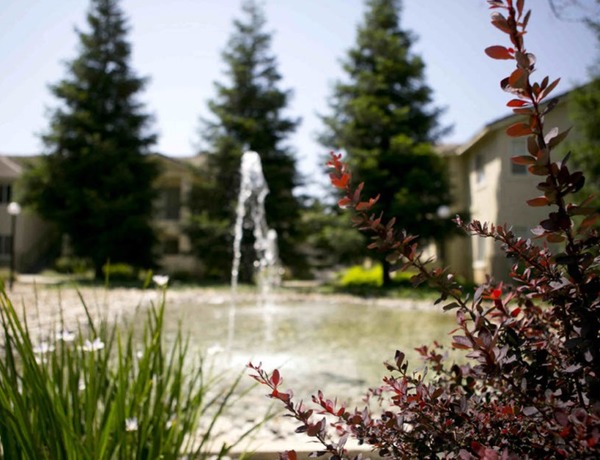 Pond