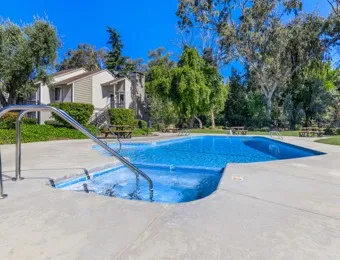 Pool and Spa
