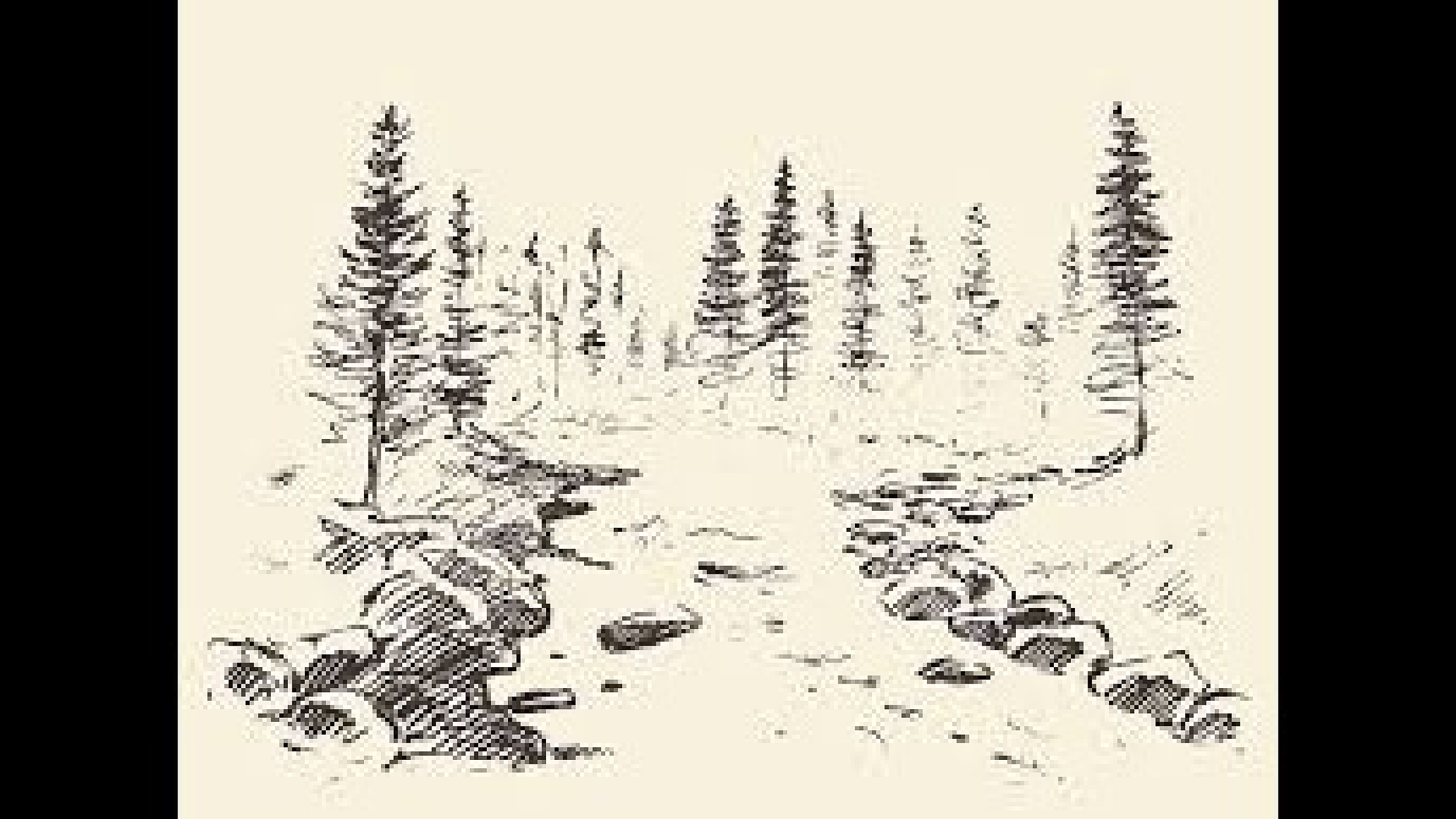 stream