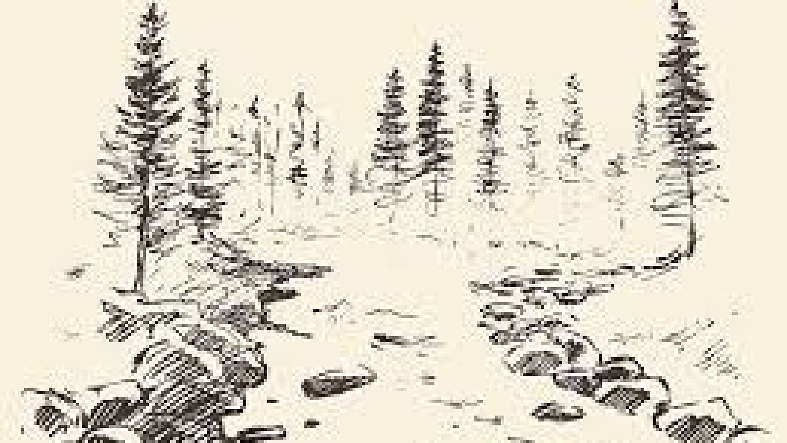 stream