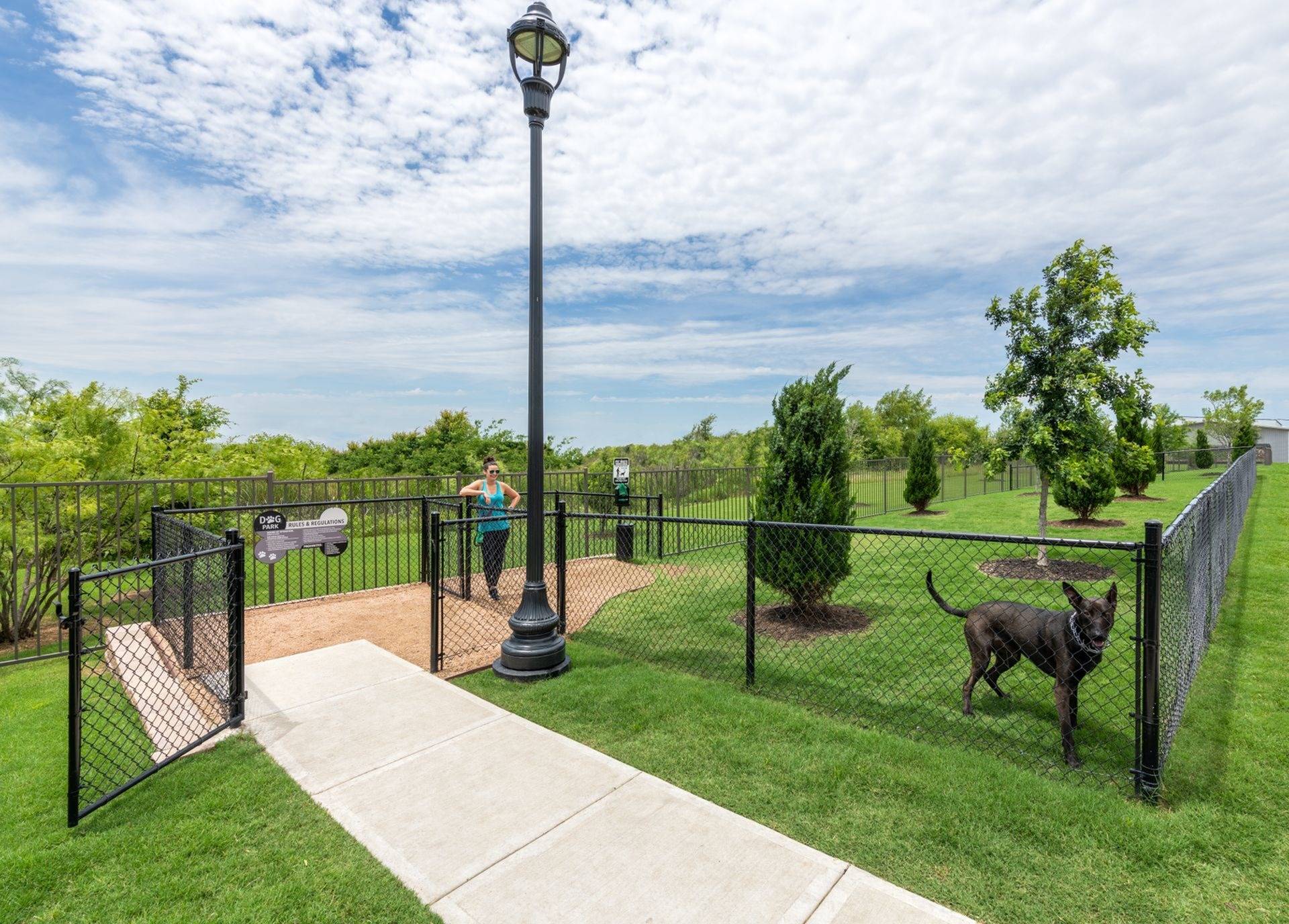 Resident Dog Park | Fort Worth TX Apartments | Alleia at Presidio
