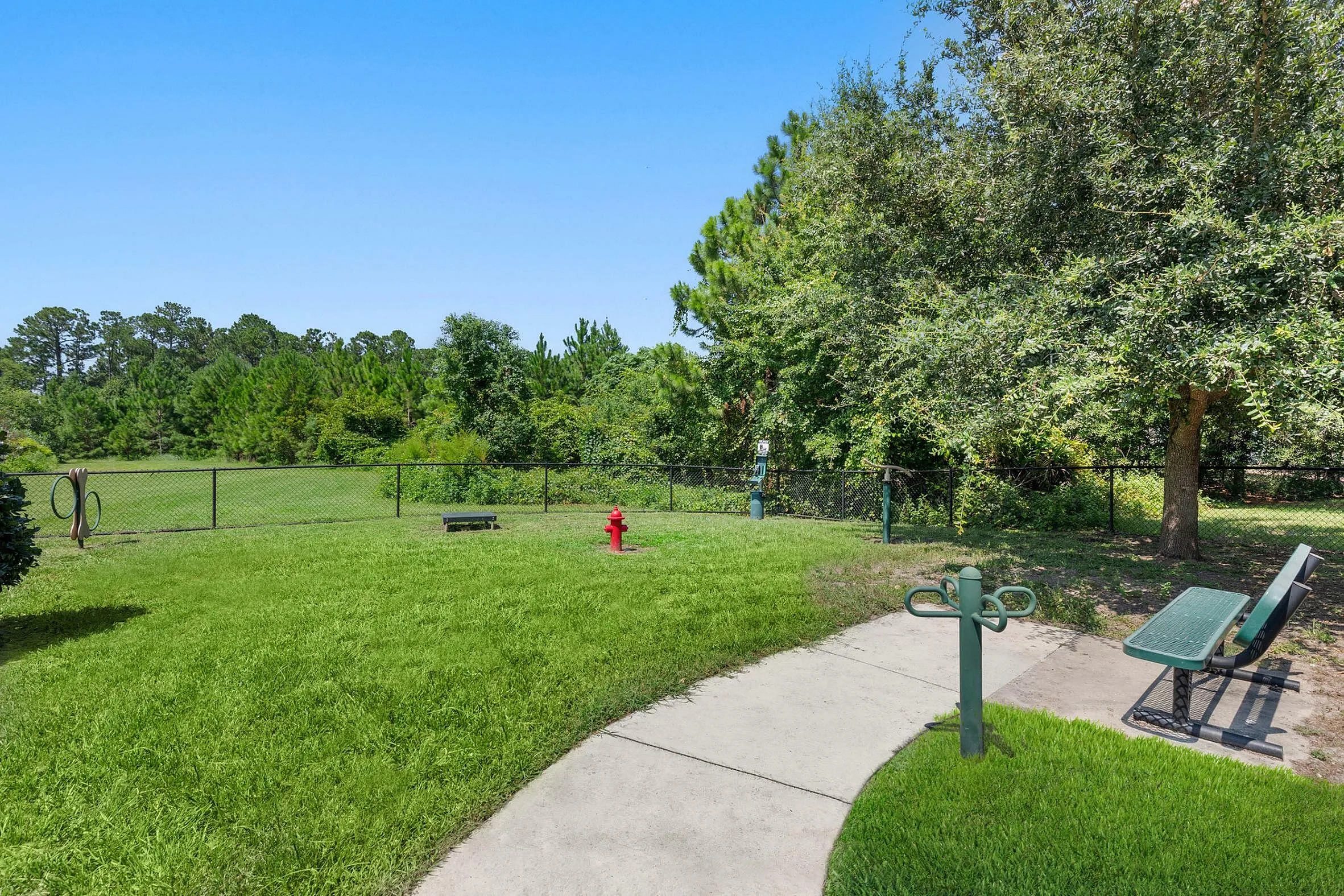 Dog Park